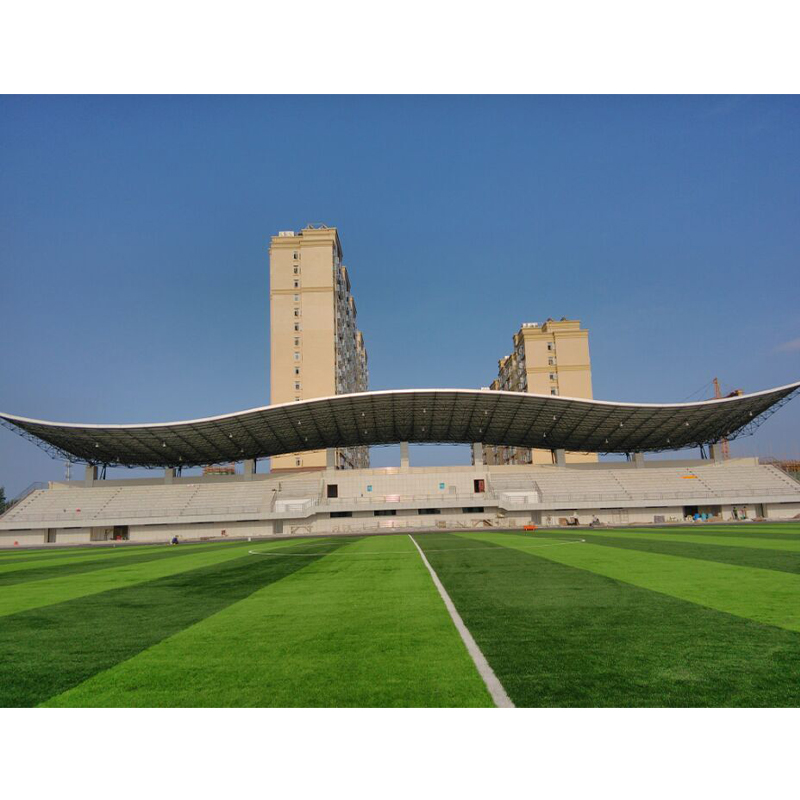 Large-Span Sports Center Gymnasium, Convention And Exhibition Center, Exhibition Hall, Coal Shed, Airport, High-Speed Rail Station, Freight Station And Other Grid Structures